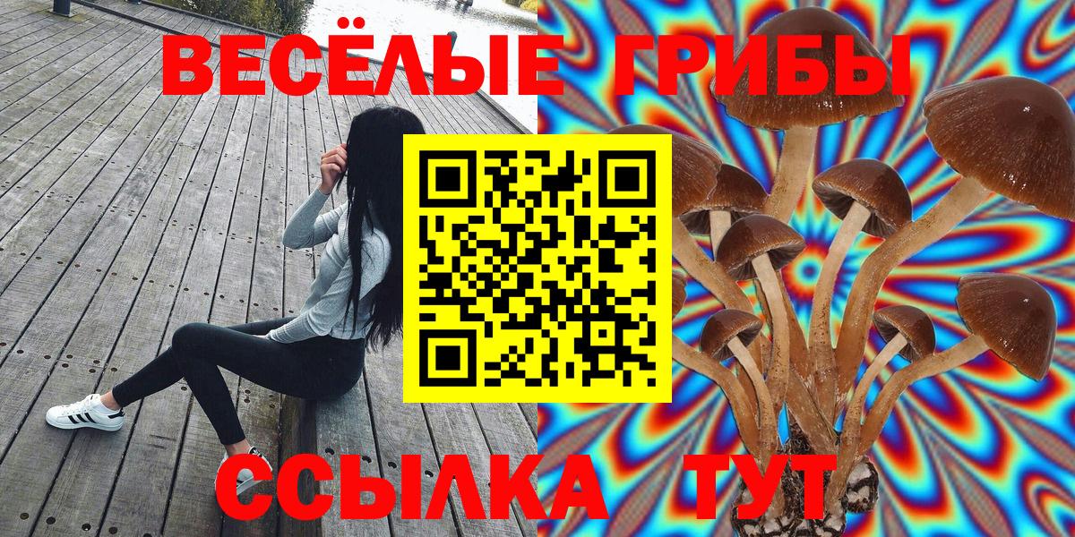 Псилоцибиновые грибы Psilocybe Владивосток